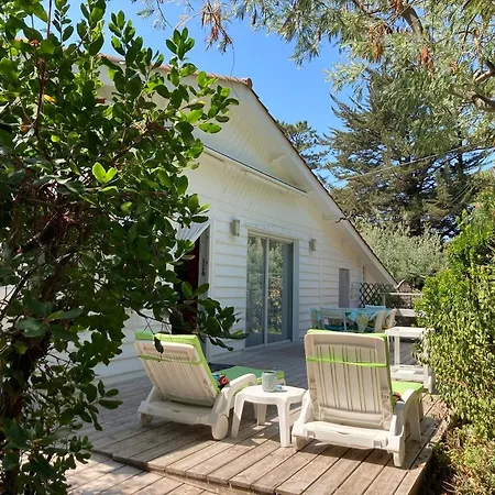 빌라 Cap Ferret Maison Proche Des Commerces Et Des Plages Ref 230 *