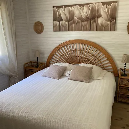 빌라 Cap Ferret Maison Proche Des Commerces Et Des Plages Ref 230